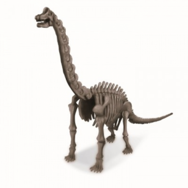 Εικόνα 2 για 4M Toys - Δεινόσαυροι - Ηφαίστεια :: ΑΝΑΣΚΑΦΗ ΒΡΑΧΙΟΣΑΥΡΟΣ