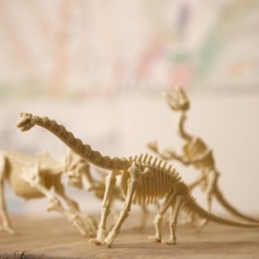 Εικόνα 4 για 4M Toys - Δεινόσαυροι - Ηφαίστεια :: ΑΝΑΣΚΑΦΗ ΒΡΑΧΙΟΣΑΥΡΟΣ