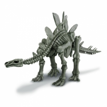 Εικόνα 5 για 4M Toys - Δεινόσαυροι - Ηφαίστεια :: ΑΝΑΣΚΑΦΗ ΣΤΕΓΟΣΑΥΡΟΣ