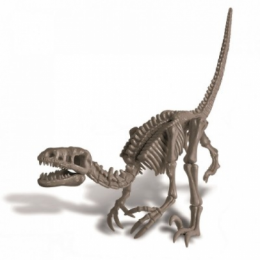 Εικόνα 3 για 4M Toys - Δεινόσαυροι - Ηφαίστεια :: ΑΝΑΣΚΑΦΗ ΒΕΛΟΣΙΡΑΠΤΟΡΑΣ