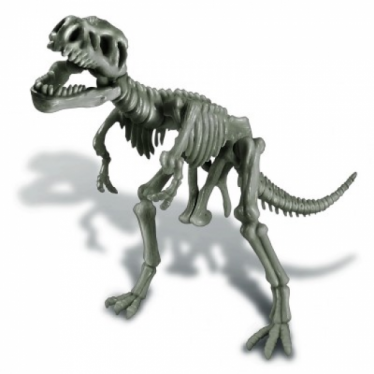 Εικόνα 7 για 4M Toys - Δεινόσαυροι - Ηφαίστεια :: ΑΝΑΣΚΑΦΗ ΤΥΡΑΝΝΟΣΑΥΡΟΣ - REX