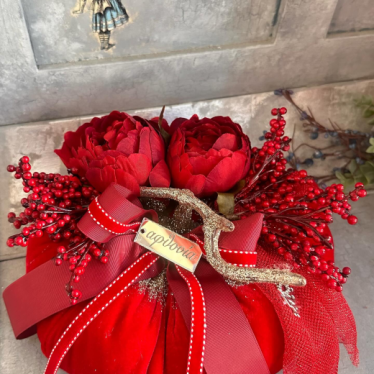Εικόνα 3 για ΓΟΥΡΙ κολοκύθα red velvet Roses